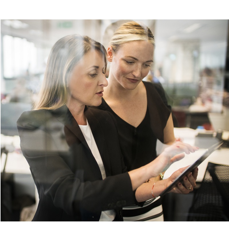 Professional Web Design